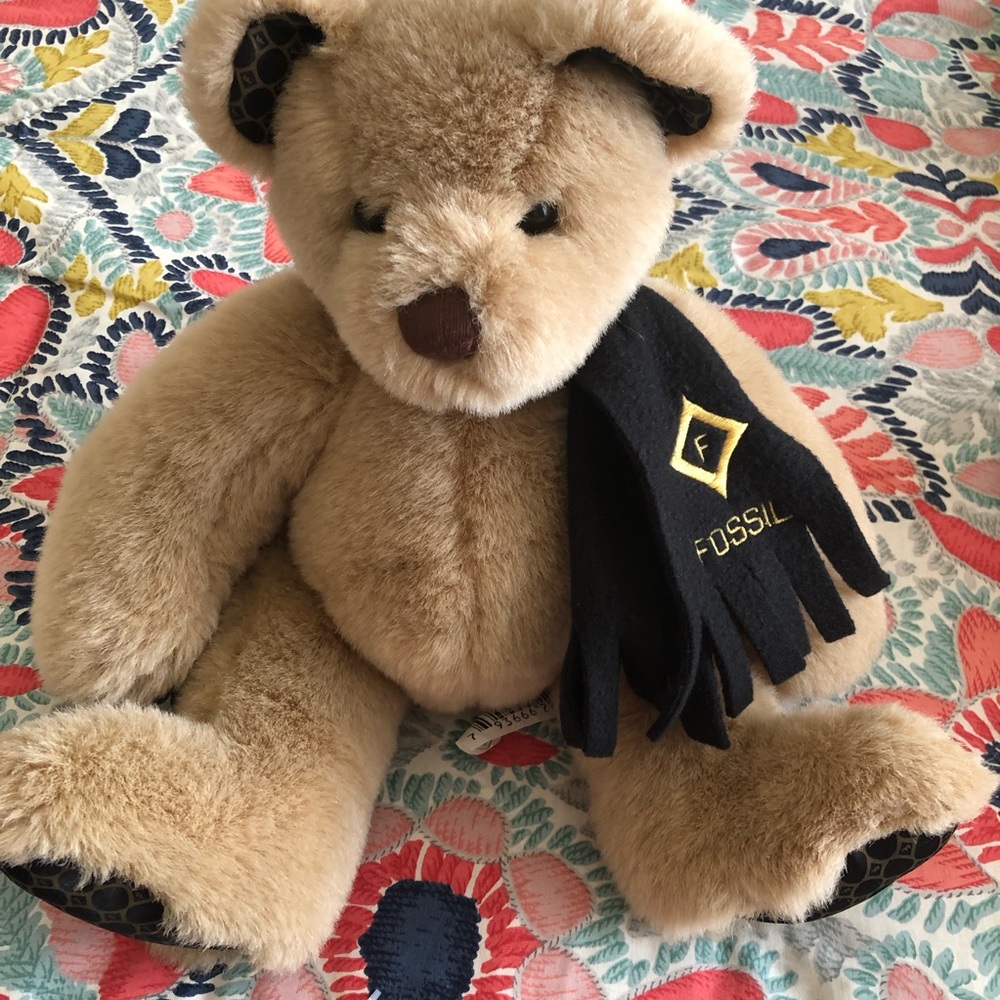 Fossil teddy bear